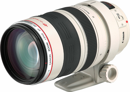 Canon EF 35-350mm f/3.5-5.6 L USM