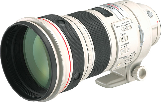 Canon EF 300mm f/2.8 L IS USM